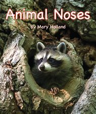 Cover image for Animal Noses