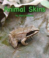 Cover image for Animal Skins