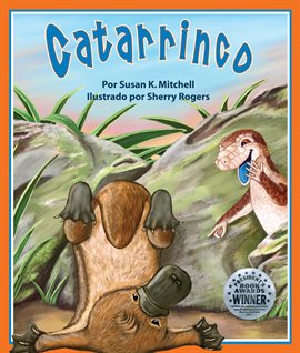 Cover image for Catarrinco