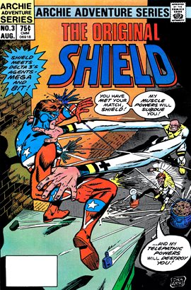 Cover image for The Original Shield