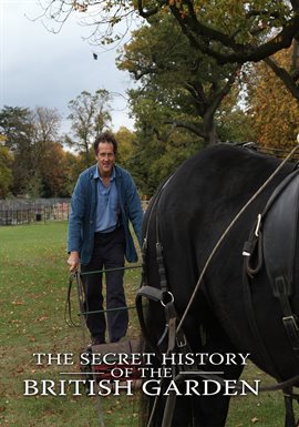 Cover image for 01-The 17th Century