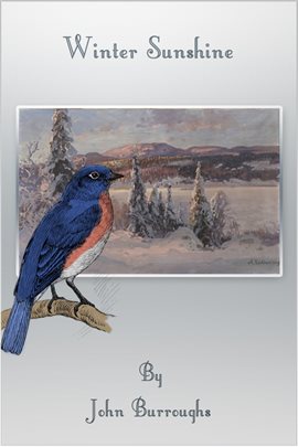 Cover image for Winter Sunshine