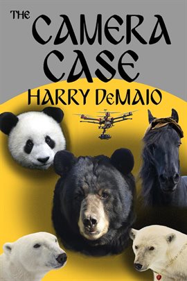 Imagen de portada para The Camera Case