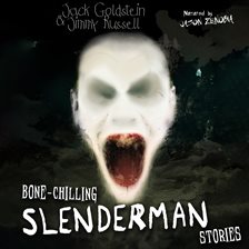 Cover image for Bone Chilling Slenderman Stories