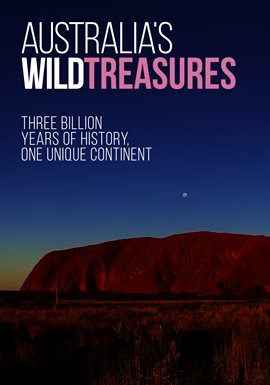 Cover image for The Red Centre