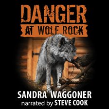 Cover image for Danger at Wolf Rock