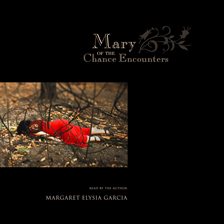Cover image for Mary of the Chance Encounters