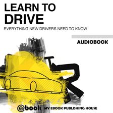 Cover image for Learn to Drive