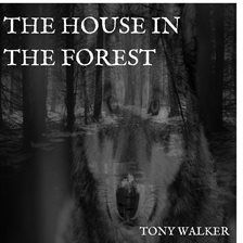 Cover image for The House in the Forest