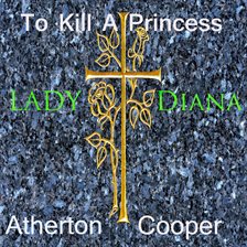 Cover image for To Kill a Princess