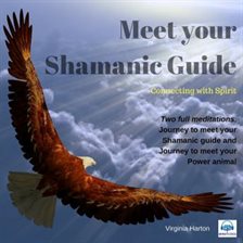 Cover image for Meet your Shamanic Guide