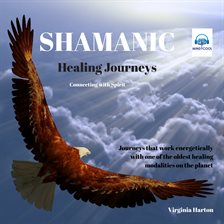 Cover image for Shamanic