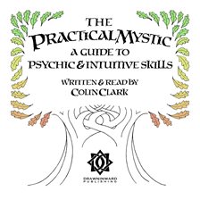 Cover image for The Practical Mystic