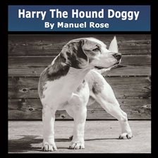 Cover image for Harry The Hound Doggy