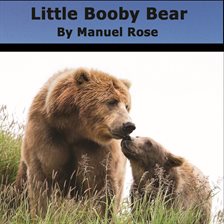 Cover image for Little Booby Bear