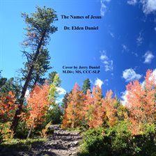 Cover image for The Names of Jesus