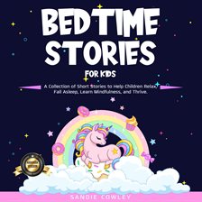 Cover image for Bedtime Stories For Kids