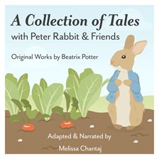 Cover image for A Collection of Tales