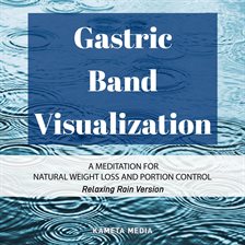 Cover image for Gastric Band Visualization