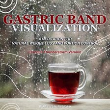 Cover image for Gastric Band Visualization