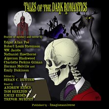 Cover image for Tales of the Dark Romantics