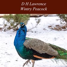 Cover image for Wintry Peacock