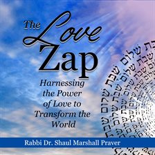 Cover image for The Love Zap