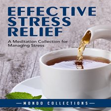 Cover image for Effective Stress Relief