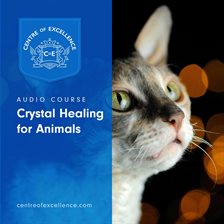 Cover image for Crystal Healing for Animals