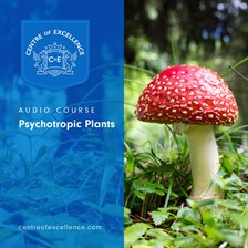 Cover image for Psychotropic Plants