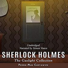 Cover image for The Gaslight Collection