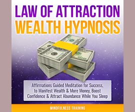 Cover image for Money Magnet Hypnosis