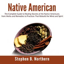 Cover image for Native American