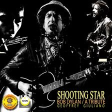 Cover image for Shooting Star