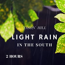Cover image for Light Rain in the South
