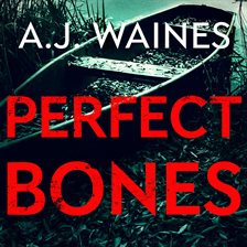 Cover image for Perfect Bones