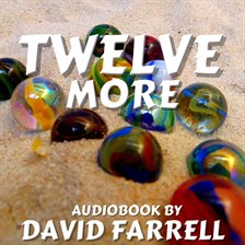 Cover image for Twelve More