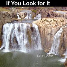 Cover image for If You Look for It