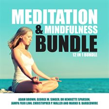 Cover image for Meditation and Mindfulness Bundle: 12 in 1 Bundle