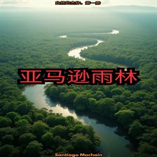 亚马逊雨林（中文版）