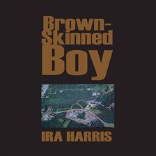 Cover image for Brown-skinned Boy