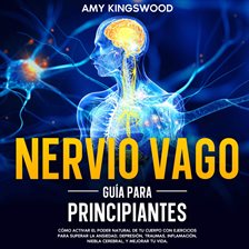 Cover image for Nervio Vago: Guía Para Principiantes