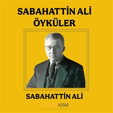Sabahattin Ali Öyküler