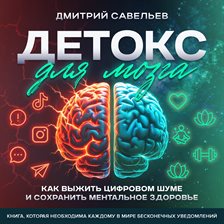 Brain Detox How to Survive Digital Noise and Preserve Mental Health