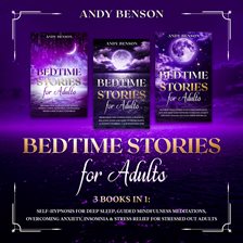 Cover image for Bed Time Stories for Adults