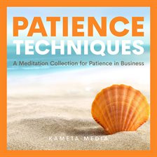 Cover image for Patience Techniques: A Meditation Collection for Patience in Business