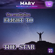 Imagen de portada para The Meditation Flight to the Star