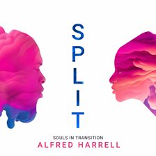 Cover image for Split