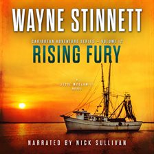 Cover image for Rising Fury