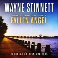 Cover image for Fallen Angel